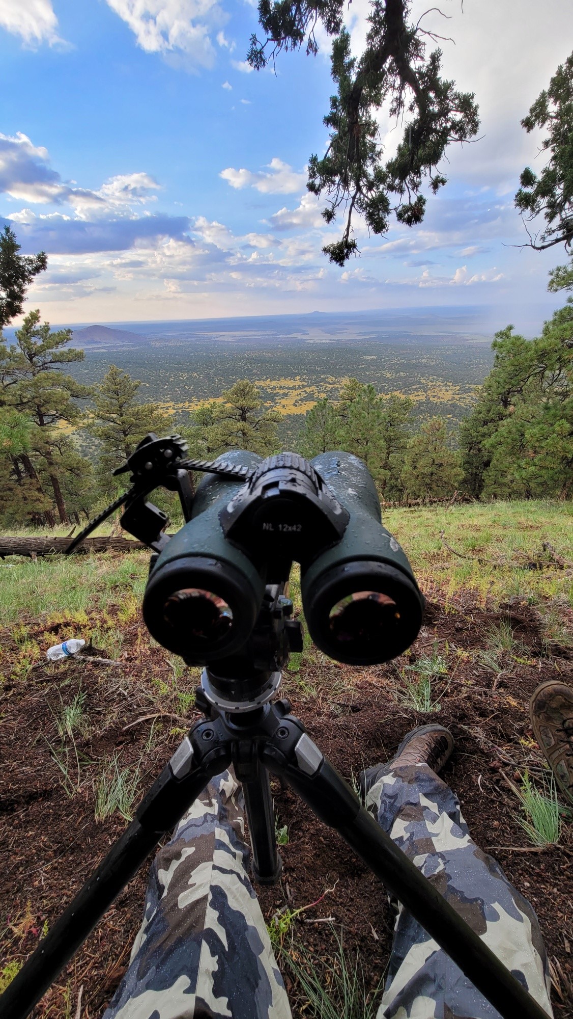 You are currently viewing The Thrill of the Hunt: Elk Hunting in Arizona in September